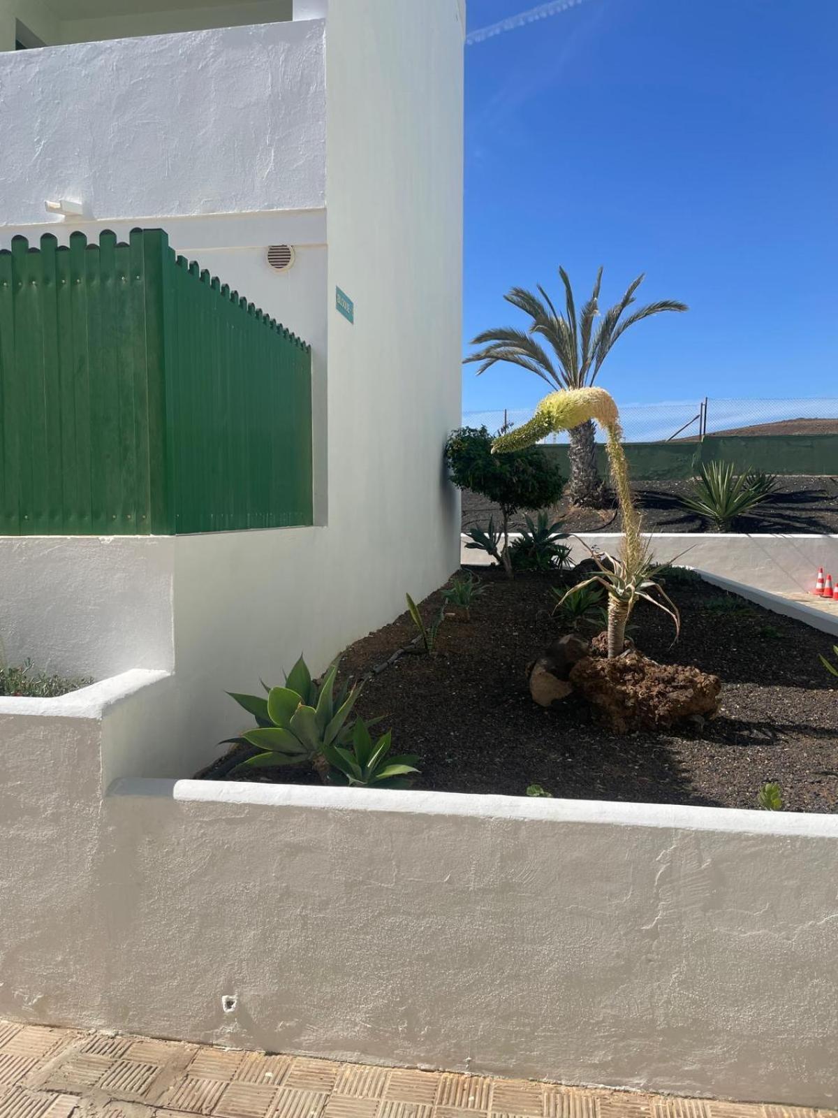 Fuertesun Dunas Beach Parque Holandes Εξωτερικό φωτογραφία